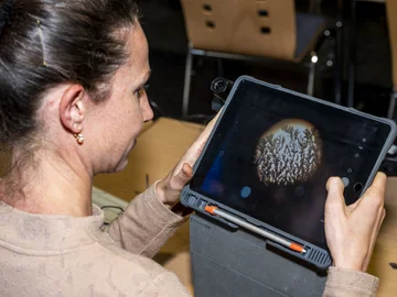 Eine Frau macht ein Foto mit einem Tablet.