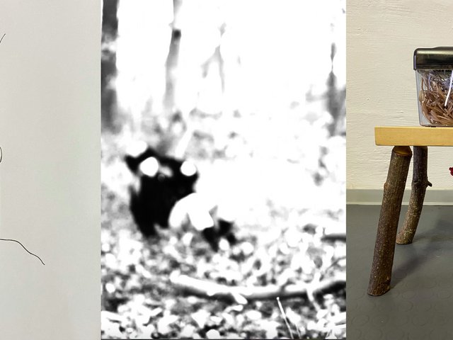 Alles Kopfsache? Ausstellung des Instituts für Kunst der PHKA zum Thema „Mentale Gesundheit“. Foto: Henrike Plegge