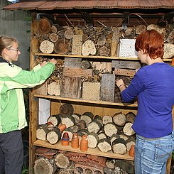 Bestückung eines Insektenhotels im Ökologischen Lerngarten der PHKA