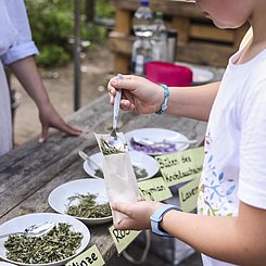 Foto: Andrea Fabry/PHKA