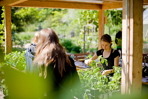 Im Ökologischen Lerngarten der Pädagogischen Hochschule Karlsruhe. Foto: Stefan Held / Pädagogische Hochschule Karlsruhe